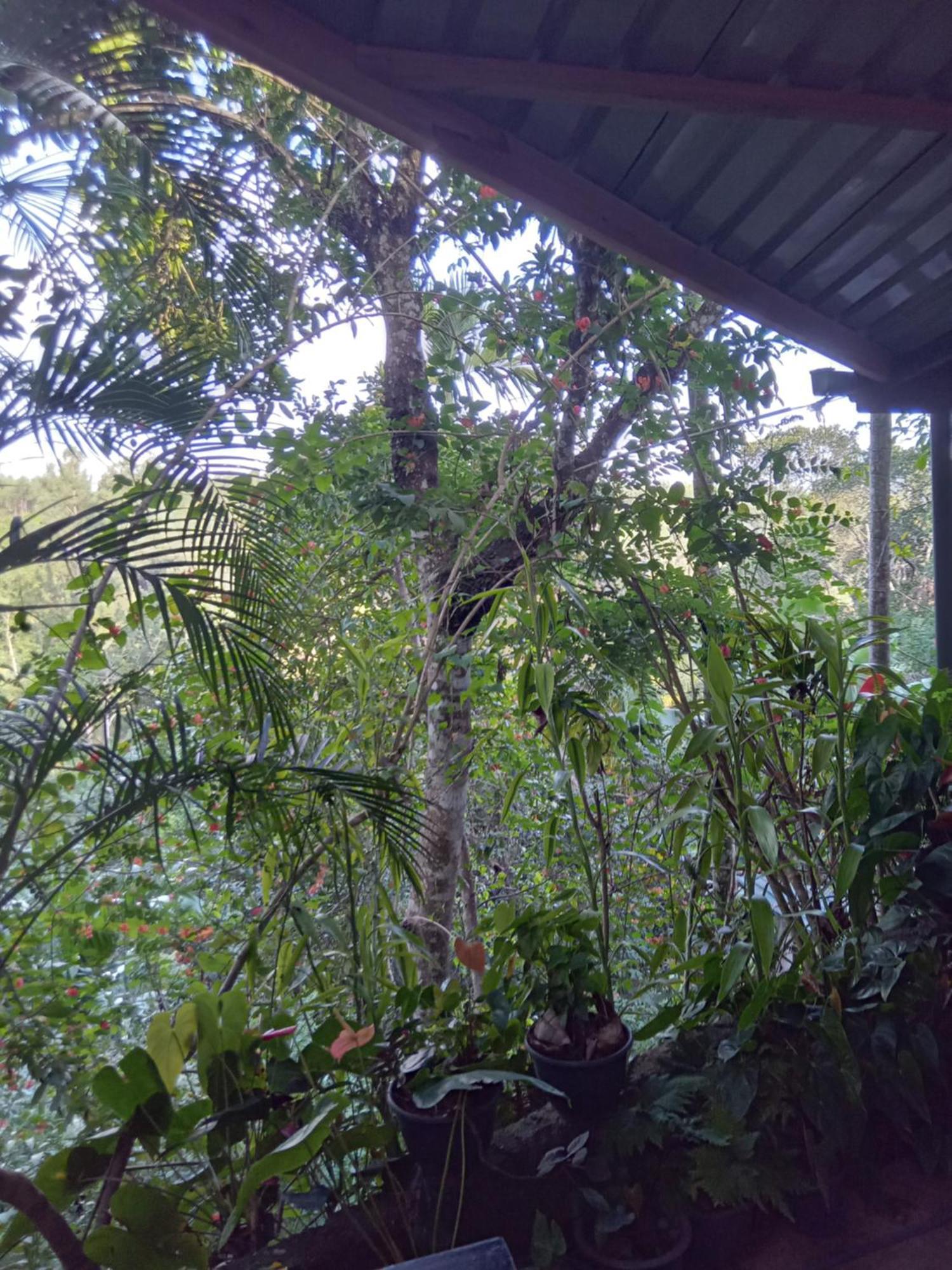 Aroma Heaven Homestay Ella Exterior photo