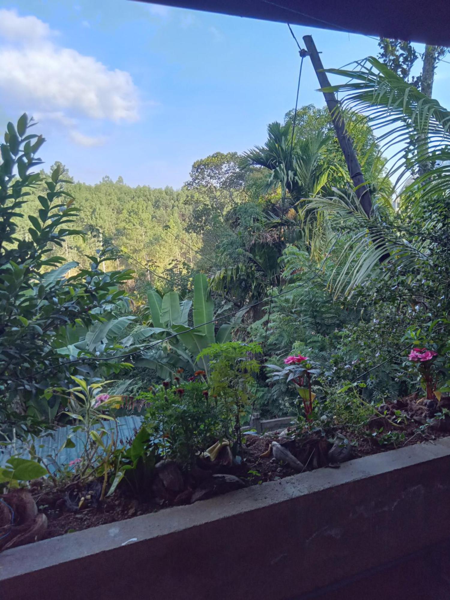 Aroma Heaven Homestay Ella Exterior photo