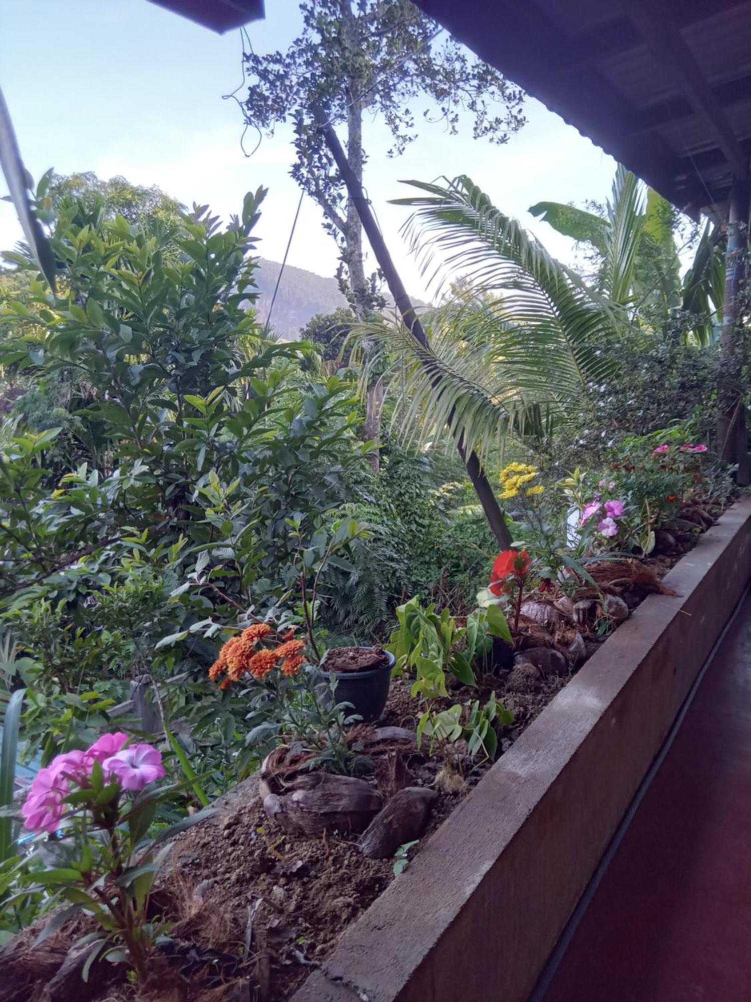 Aroma Heaven Homestay Ella Exterior photo
