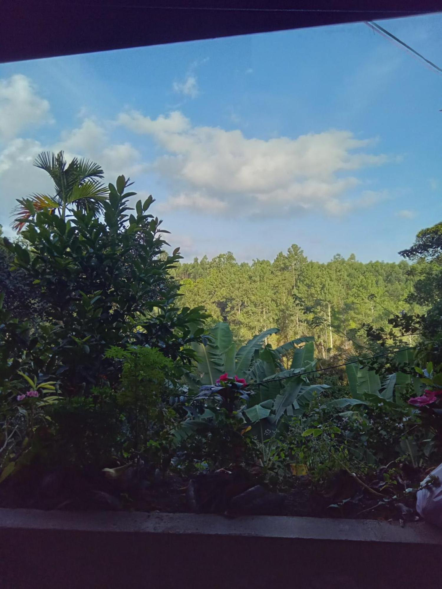 Aroma Heaven Homestay Ella Exterior photo