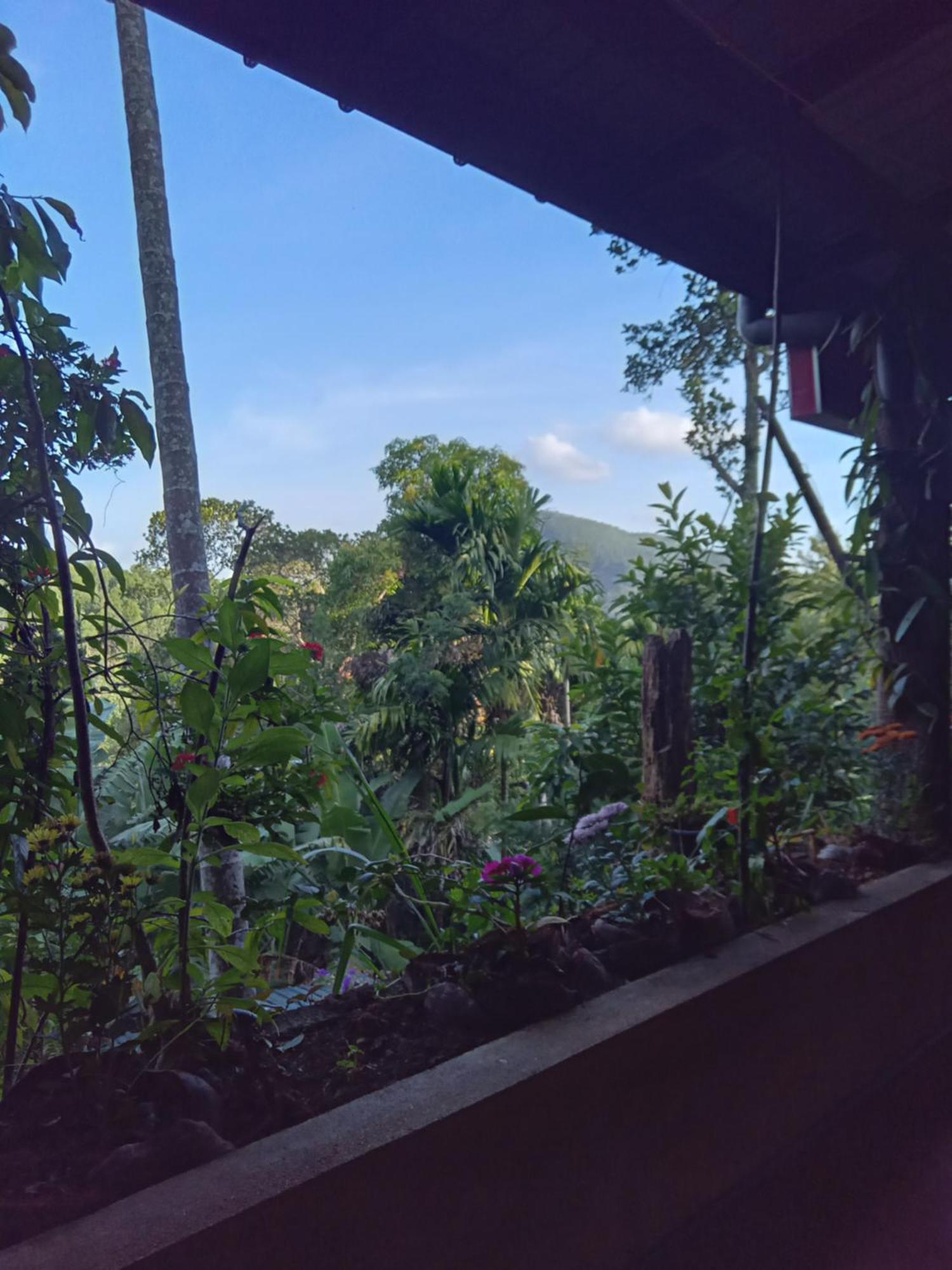 Aroma Heaven Homestay Ella Exterior photo