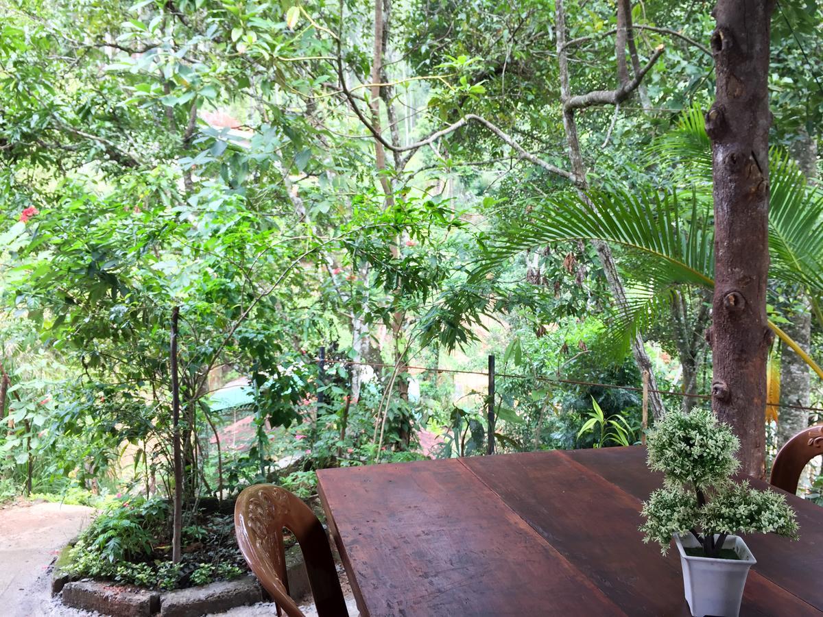 Aroma Heaven Homestay Ella Exterior photo